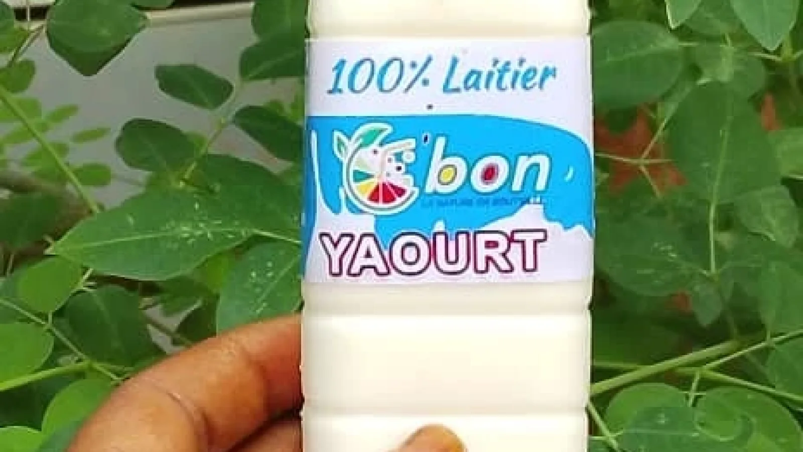 Yaourt C'Bon — photo 1