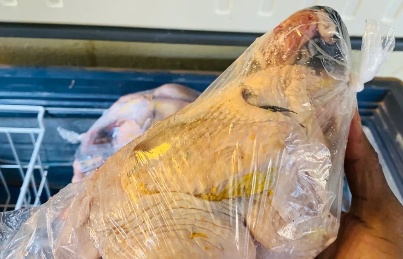 Les grosses pintades locales — photo 1