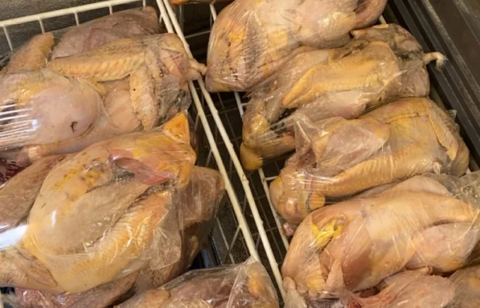 Les grosses pintades locales — photo 2