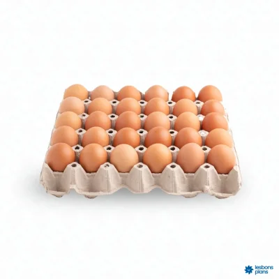 Casier d'œufs de 30