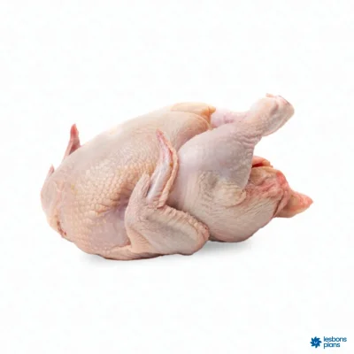 Poulet de chair local ABDI