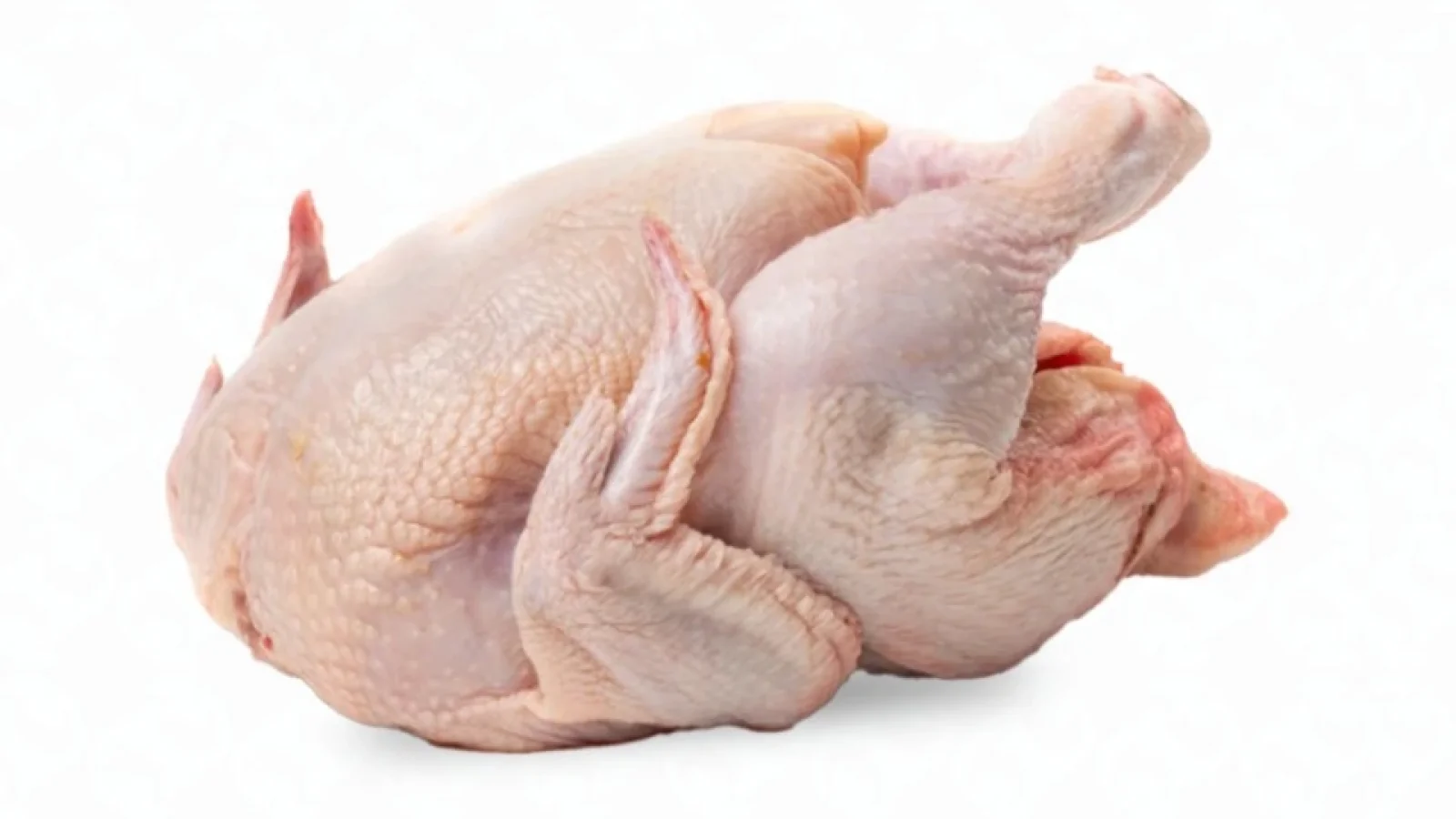 Poulet de chair local ABDI — photo 1