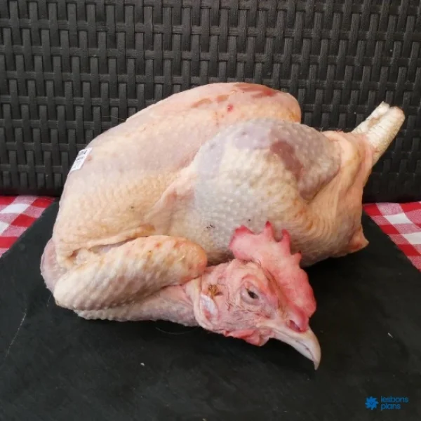 Poulet Bicyclette (Local) ABDI