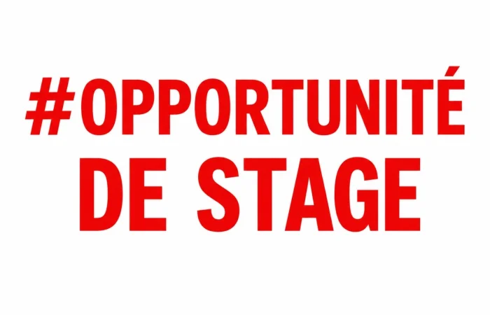 Stage en entreprise pour 3 mois — photo 2