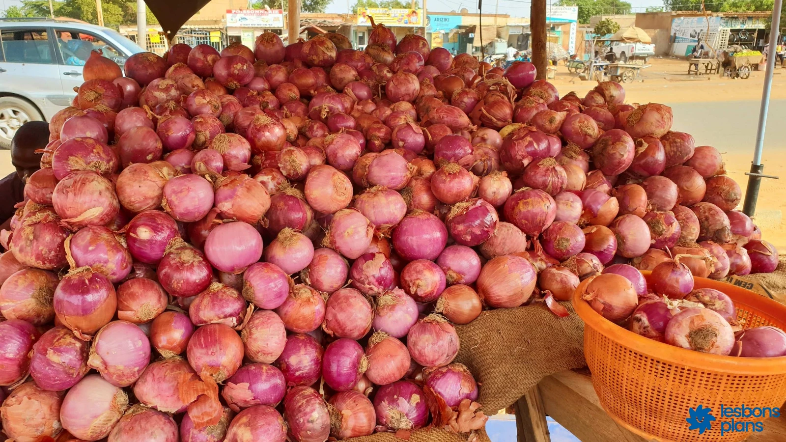 Oignon Violet de Galmi Niger vente en ligne agriculture