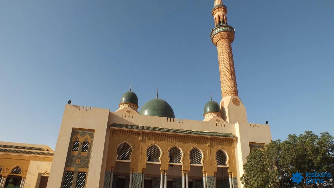 grande mosque de niamey