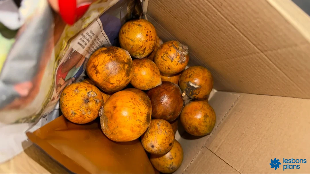 Beroua, labdourou : les produits locaux nigériens à connaître et où les trouver