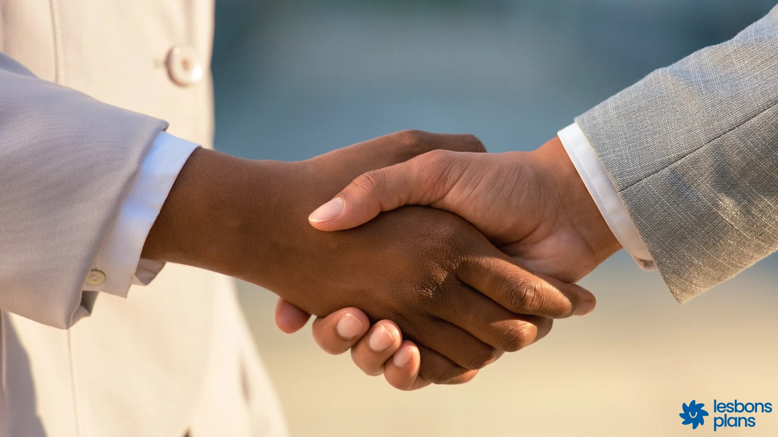 Emploi ONG Niger 2026 postuler guide complet