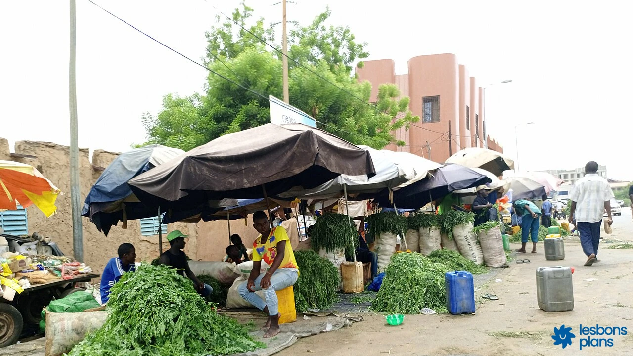 Coût de la vie à Niamey en 2026 : budget mensuel réaliste pour bien s'organiser