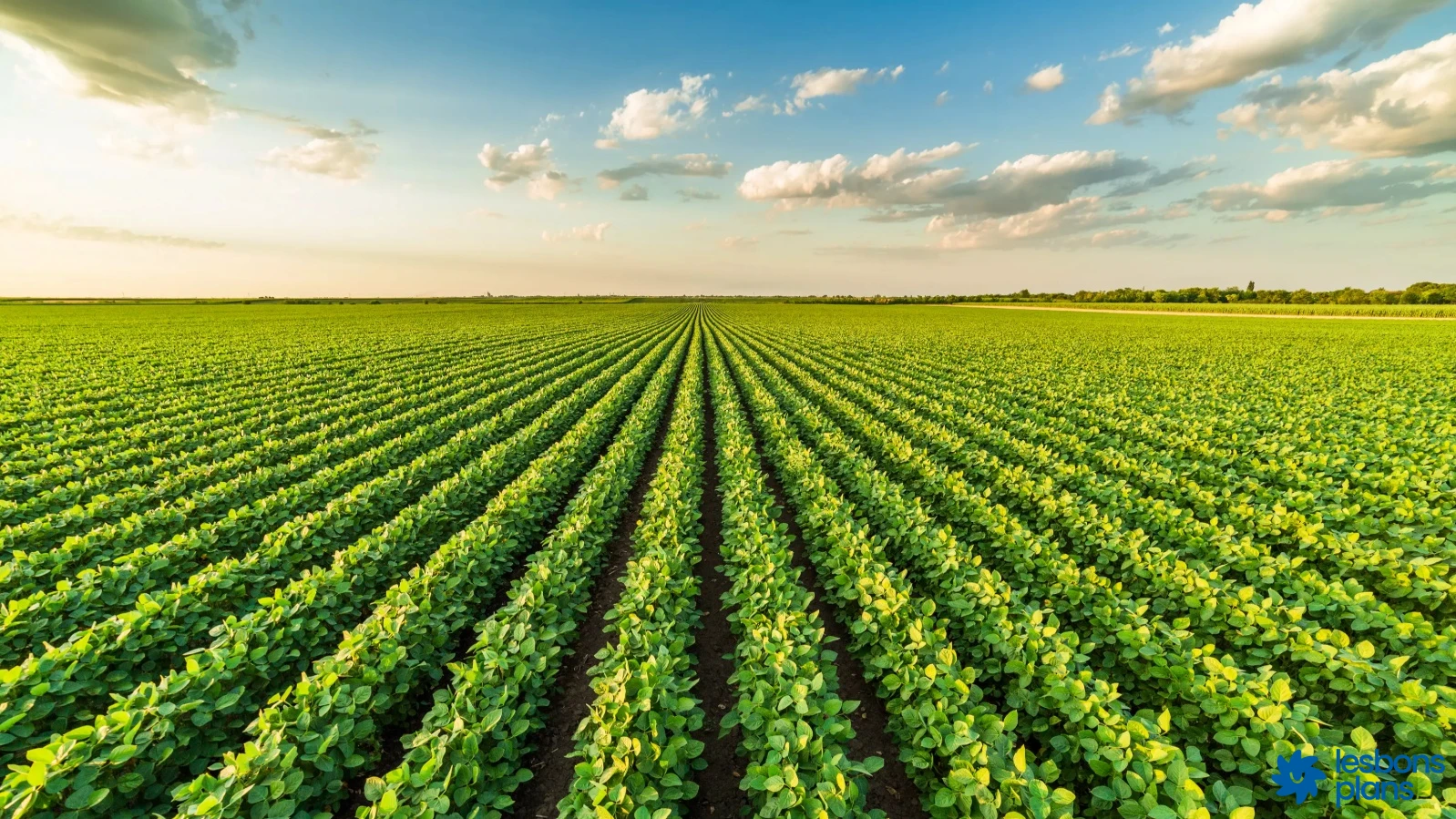 Agriculture précision Niger 2026 technologies