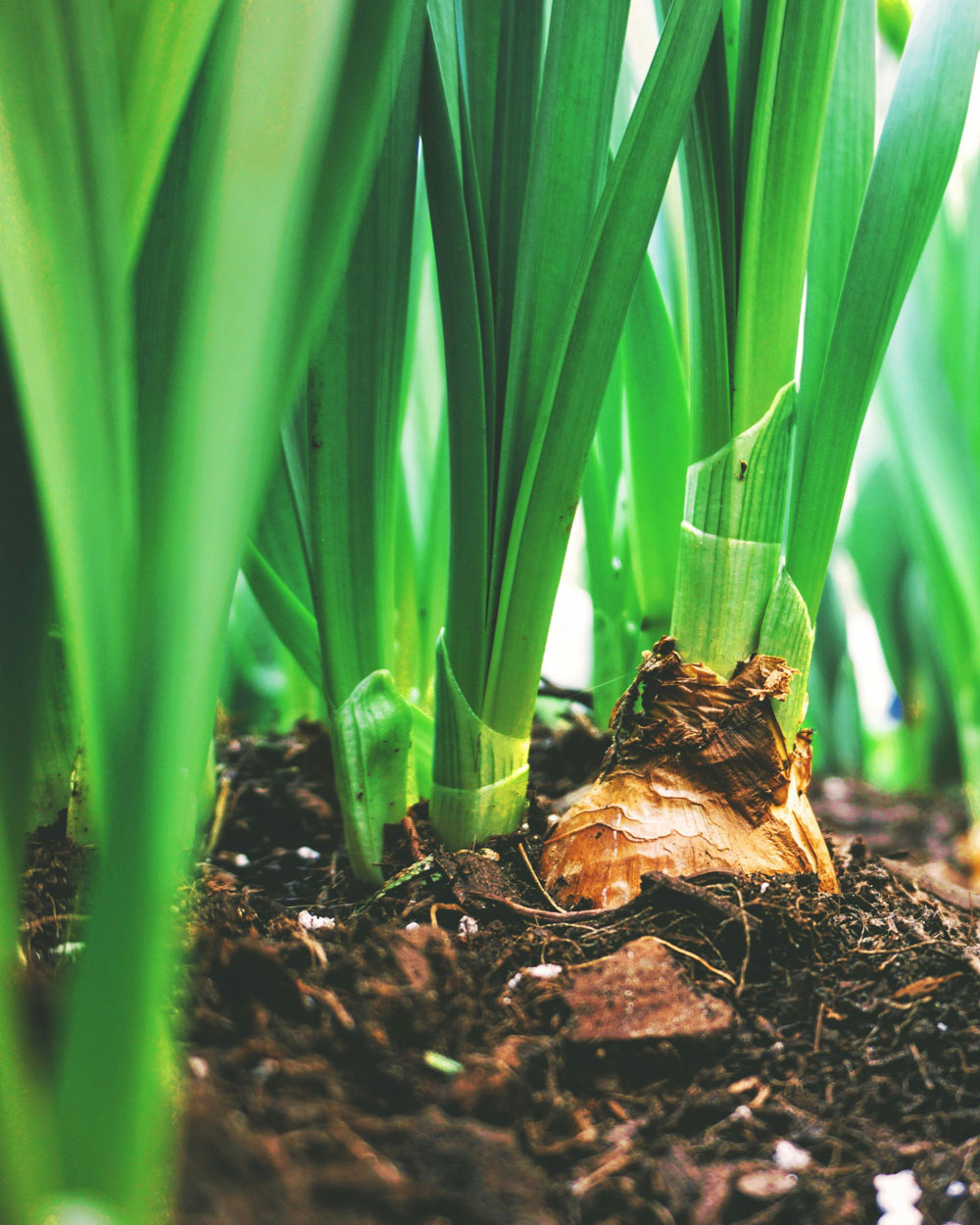 Élevage & Agriculture